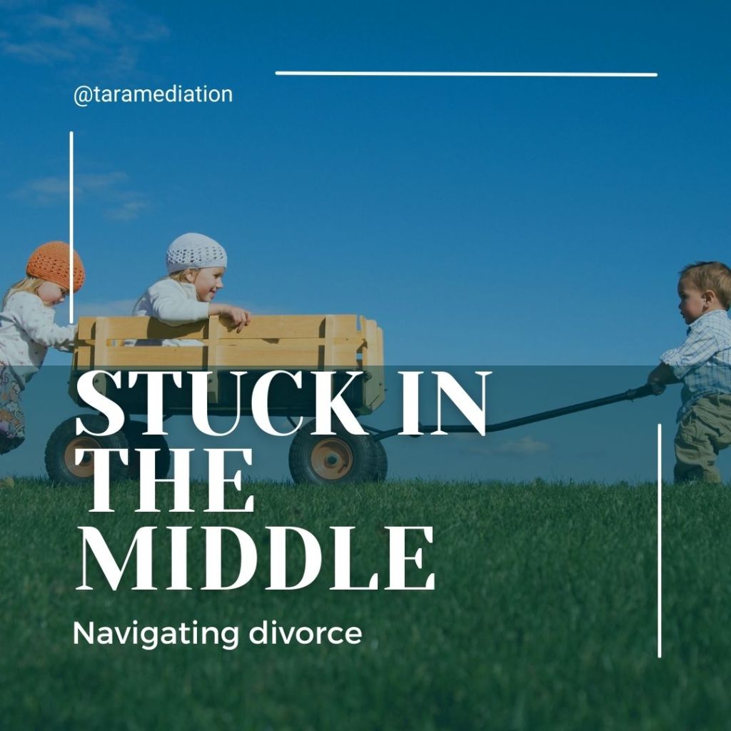 Stuck in the Middle going through divorce as a Middle Child: Challenges, Remedies, and Resilience